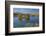 New Zealand, South Island, Mackenzie Country, Loch Cameron in Autumn-David Wall-Framed Photographic Print