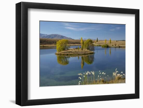 New Zealand, South Island, Mackenzie Country, Loch Cameron in Autumn-David Wall-Framed Photographic Print