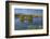 New Zealand, South Island, Mackenzie Country, Loch Cameron in Autumn-David Wall-Framed Photographic Print