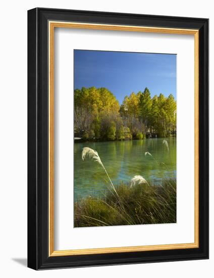 New Zealand, South Island, Mackenzie Country, Ohau River in Autumn-David Wall-Framed Photographic Print