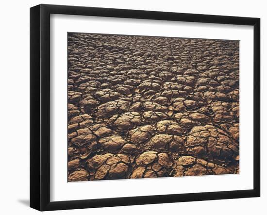 New Zealand, South Island, Marlborough Sounds, Cape Jackson-Thonig-Framed Photographic Print