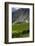 New Zealand, South Island, Otago, Gibbston, vineyard-Walter Bibikow-Framed Photographic Print