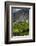 New Zealand, South Island, Otago, Gibbston, vineyard-Walter Bibikow-Framed Photographic Print