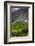 New Zealand, South Island, Otago, Gibbston, vineyard-Walter Bibikow-Framed Photographic Print