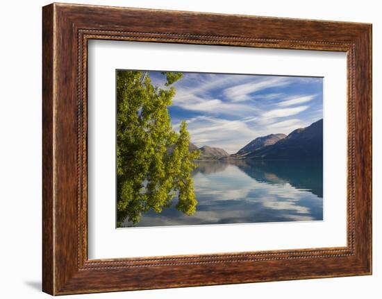 New Zealand, South Island, Otago, Glenorchy, Lake Wakatipu, landscape-Walter Bibikow-Framed Photographic Print