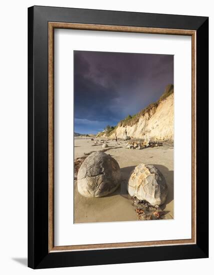 New Zealand, South Island, Otago, Moeraki, Moeraki Boulders, dawn-Walter Bibikow-Framed Photographic Print