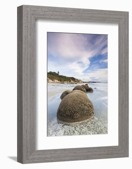 New Zealand, South Island, Otago, Moeraki, Moeraki Boulders, dawn-Walter Bibikow-Framed Photographic Print