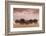 New Zealand, South Island, Otago, Moeraki, Moeraki Boulders, dusk-Walter Bibikow-Framed Photographic Print