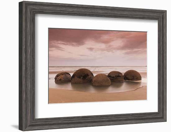 New Zealand, South Island, Otago, Moeraki, Moeraki Boulders, dusk-Walter Bibikow-Framed Photographic Print