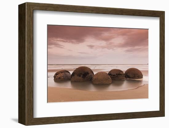 New Zealand, South Island, Otago, Moeraki, Moeraki Boulders, dusk-Walter Bibikow-Framed Photographic Print