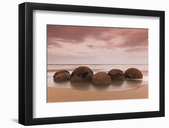 New Zealand, South Island, Otago, Moeraki, Moeraki Boulders, dusk-Walter Bibikow-Framed Photographic Print