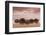 New Zealand, South Island, Otago, Moeraki, Moeraki Boulders, dusk-Walter Bibikow-Framed Photographic Print