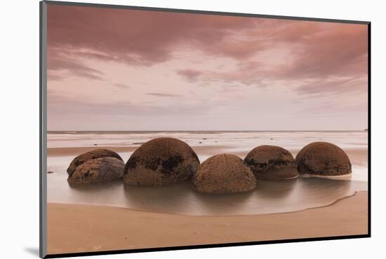 New Zealand, South Island, Otago, Moeraki, Moeraki Boulders, dusk-Walter Bibikow-Mounted Photographic Print