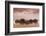 New Zealand, South Island, Otago, Moeraki, Moeraki Boulders, dusk-Walter Bibikow-Framed Photographic Print