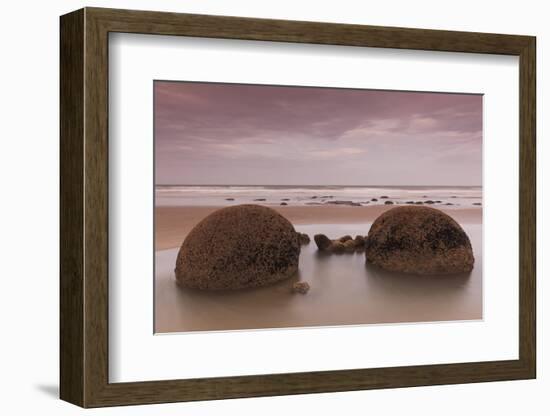 New Zealand, South Island, Otago, Moeraki, Moeraki Boulders, dusk-Walter Bibikow-Framed Photographic Print