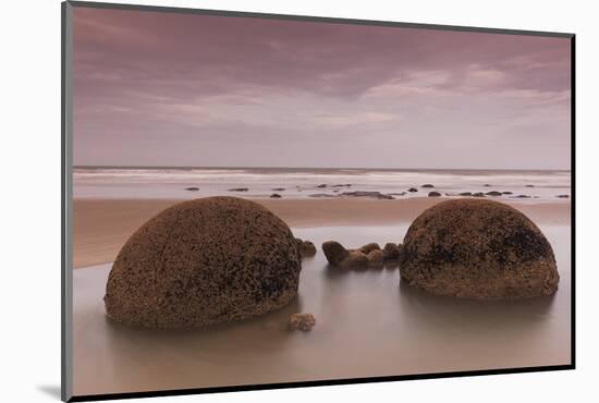 New Zealand, South Island, Otago, Moeraki, Moeraki Boulders, dusk-Walter Bibikow-Mounted Photographic Print