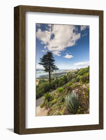 New Zealand, South Island, Otago, Otago Peninsula, Tropical Gardens-Walter Bibikow-Framed Photographic Print