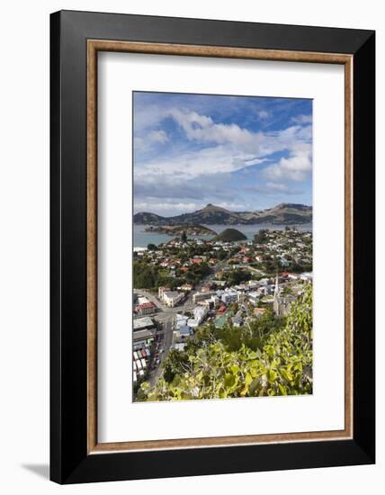 New Zealand, South Island, Otago, Port Chalmers, elevated port view-Walter Bibikow-Framed Photographic Print