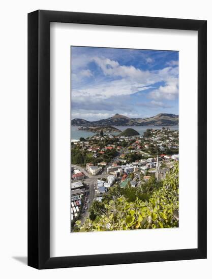 New Zealand, South Island, Otago, Port Chalmers, elevated port view-Walter Bibikow-Framed Photographic Print