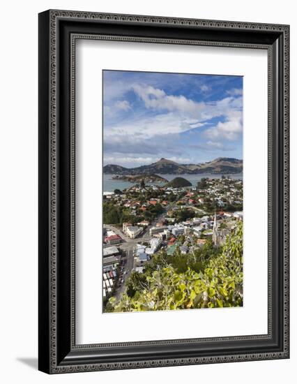 New Zealand, South Island, Otago, Port Chalmers, elevated port view-Walter Bibikow-Framed Photographic Print