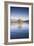 New Zealand, South Island, Otago, Wanaka, Lake Wanaka, solitary tree, dawn-Walter Bibikow-Framed Photographic Print