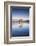 New Zealand, South Island, Otago, Wanaka, Lake Wanaka, solitary tree, dawn-Walter Bibikow-Framed Photographic Print