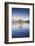 New Zealand, South Island, Otago, Wanaka, Lake Wanaka, solitary tree, dawn-Walter Bibikow-Framed Photographic Print