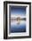 New Zealand, South Island, Otago, Wanaka, Lake Wanaka, solitary tree, dawn-Walter Bibikow-Framed Photographic Print