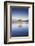 New Zealand, South Island, Otago, Wanaka, Lake Wanaka, solitary tree, dawn-Walter Bibikow-Framed Photographic Print