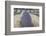 New Zealand, South Island, Otago, Wanaka, lavender farm-Walter Bibikow-Framed Photographic Print