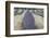 New Zealand, South Island, Otago, Wanaka, lavender farm-Walter Bibikow-Framed Photographic Print