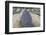 New Zealand, South Island, Otago, Wanaka, lavender farm-Walter Bibikow-Framed Photographic Print