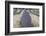 New Zealand, South Island, Otago, Wanaka, lavender farm-Walter Bibikow-Framed Photographic Print