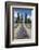 New Zealand, South Island, Otago, Wanaka, lavender farm-Walter Bibikow-Framed Photographic Print