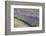 New Zealand, South Island, Otago, Wanaka, lavender farm-Walter Bibikow-Framed Photographic Print