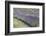 New Zealand, South Island, Otago, Wanaka, lavender farm-Walter Bibikow-Framed Photographic Print