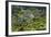 New Zealand, South Island, Paparoa National Park, Fern Trees-Catharina Lux-Framed Photographic Print