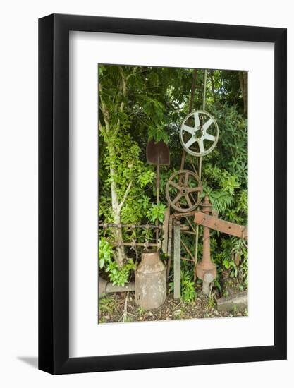 New Zealand, South Island, Ross, street art made from mining equipment-Walter Bibikow-Framed Photographic Print