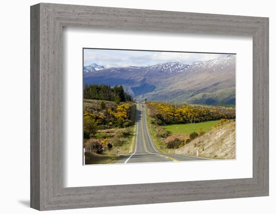 New Zealand, South Island, scenic highway.-Greg Johnston-Framed Photographic Print