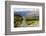 New Zealand, South Island, scenic highway.-Greg Johnston-Framed Photographic Print