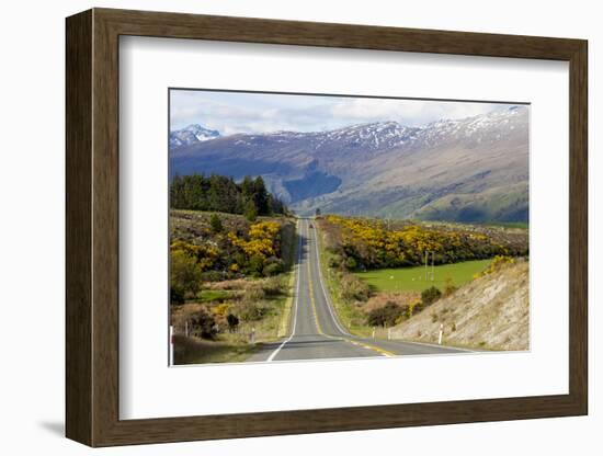 New Zealand, South Island, scenic highway.-Greg Johnston-Framed Photographic Print