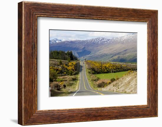 New Zealand, South Island, scenic highway.-Greg Johnston-Framed Photographic Print