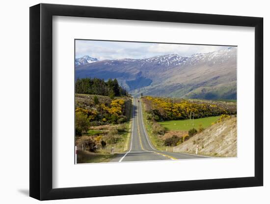 New Zealand, South Island, scenic highway.-Greg Johnston-Framed Photographic Print