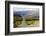 New Zealand, South Island, scenic highway.-Greg Johnston-Framed Photographic Print