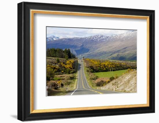 New Zealand, South Island, scenic highway.-Greg Johnston-Framed Photographic Print