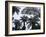 New Zealand, South Island, Tree Ferns, Cyathea Medullaris-Thonig-Framed Photographic Print