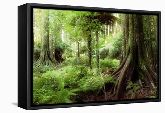 New Zealand Tropical Forest Jungle-STILLFX-Framed Premier Image Canvas