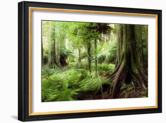 New Zealand Tropical Forest Jungle-STILLFX-Framed Photographic Print