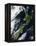 New Zealand-Stocktrek Images-Framed Premier Image Canvas