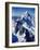 New Zealandsnow-Capped Mountain in New Zealand-George Silk-Framed Photographic Print